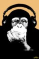 /album/posters-e-reprodu%c3%a7%c3%b5es/steez-headphone-monkey-jpg/
